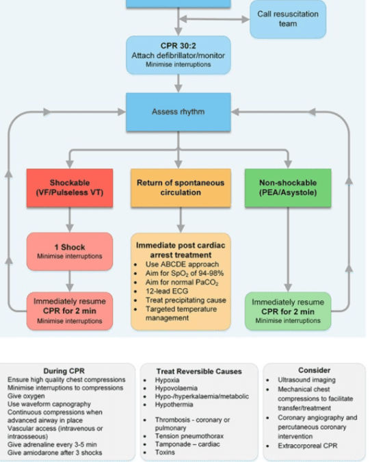 Flow chart Advanced Life Support