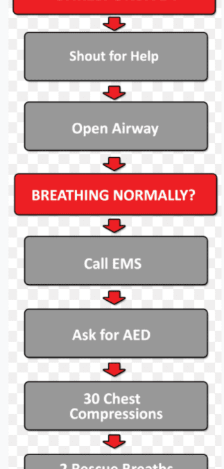 Flowchart Basic Life Support