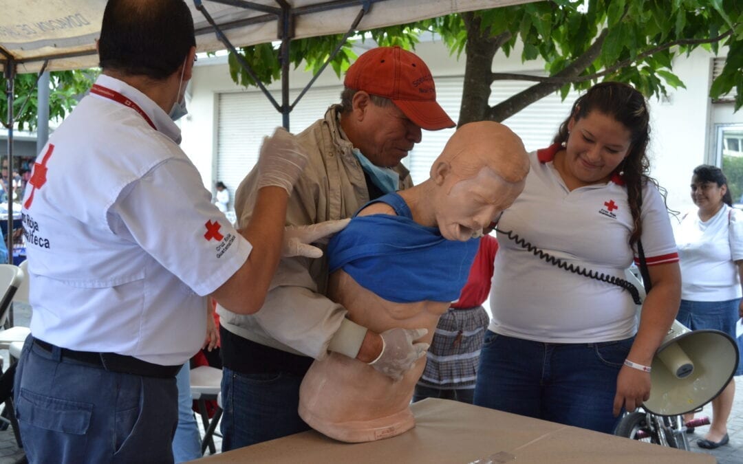 Law and first aid advocacy report