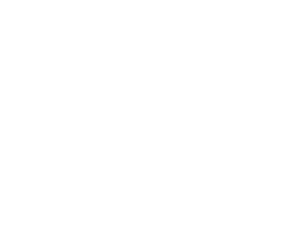 p-NPL2480