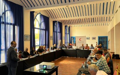 Moroccan Red Crescent Strategic First Aid Workshop in Marrakech